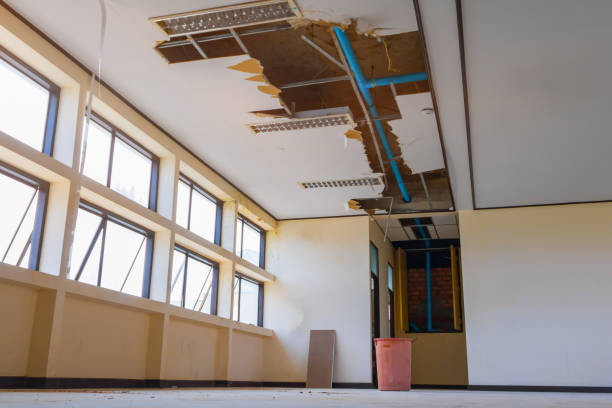 Best Professional water damage repair  in Belleville, KS