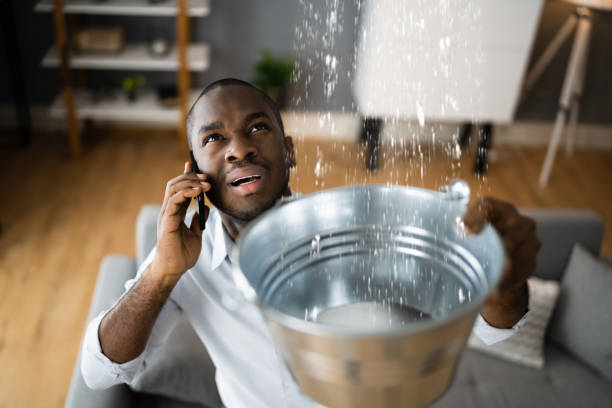 Best Carpet water damage restoration  in Belleville, KS