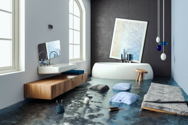 Best Flood restoration services  in Belleville, KS