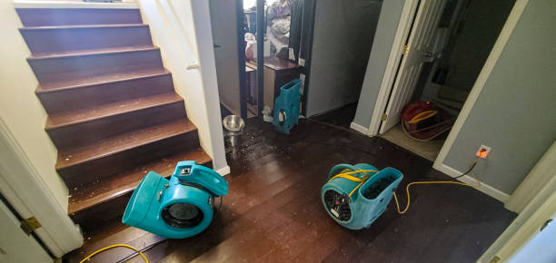 Best 24-hour water damage restoration  in Belleville, KS