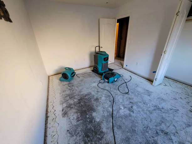 Best Water damage contractors near me  in Belleville, KS