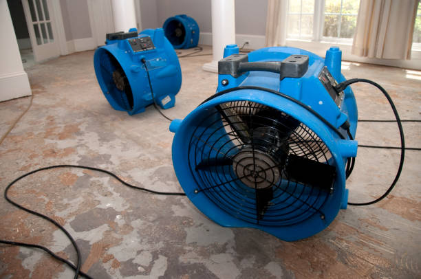 Best Water damage cleanup near me  in Belleville, KS