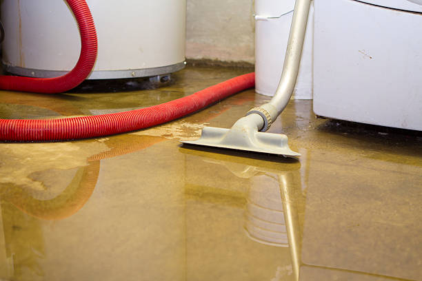 Best Water damage restoration insurance claims  in Belleville, KS