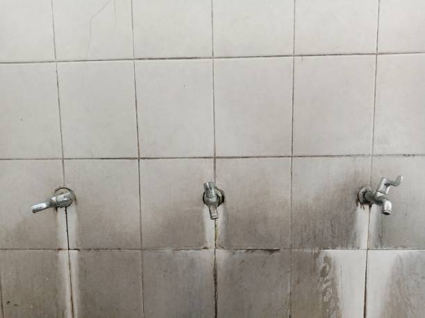 Best Water damage restoration mold remediation  in Belleville, KS