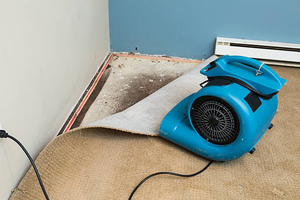 Best Water damage restoration near me  in Belleville, KS